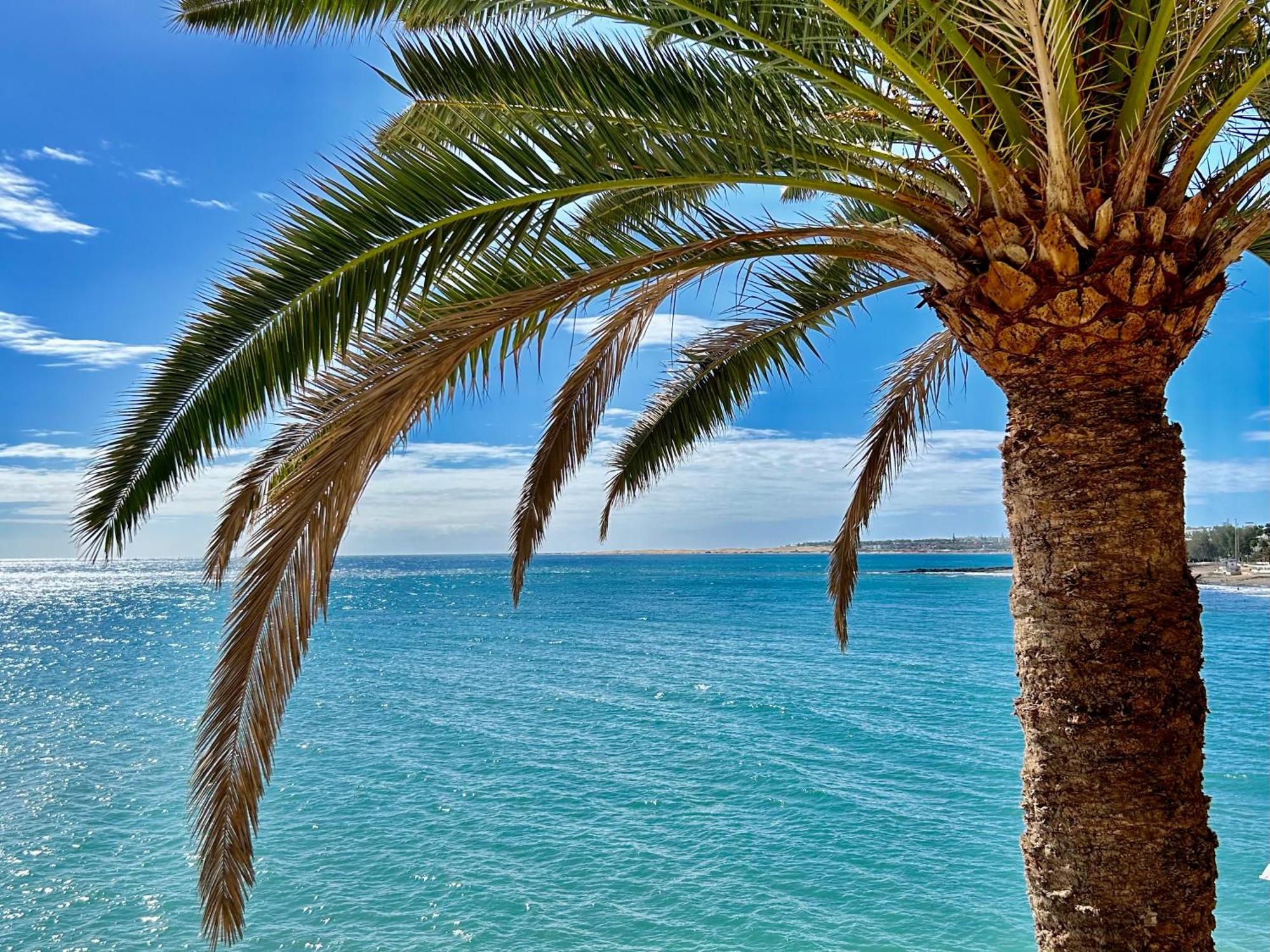 Sobre El Mar Con Vistas A Las Dunas De Maspalomas San Agustín المظهر الخارجي الصورة